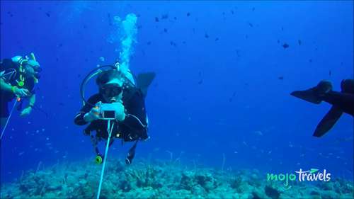 十大水肺潜水目的地