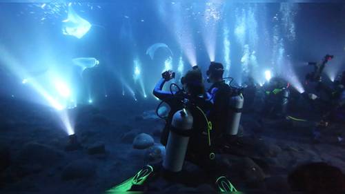 世界十大潜水胜地