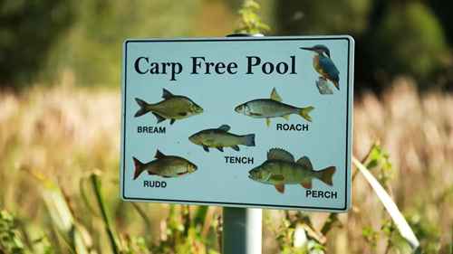 初学者浮钓指南