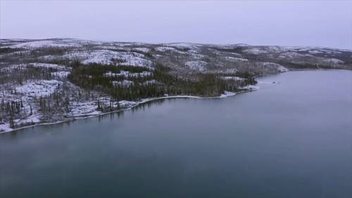 滨海环境的野外生存技巧