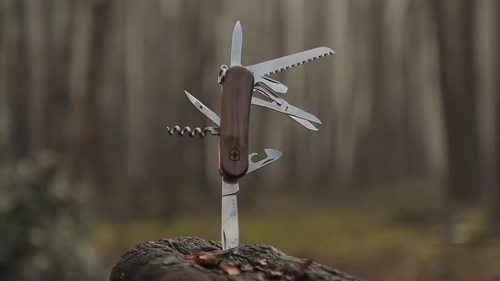 野外生存：丛林生存技能