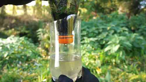 20个野外生存技巧