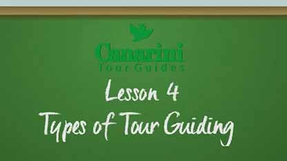 导游的类型