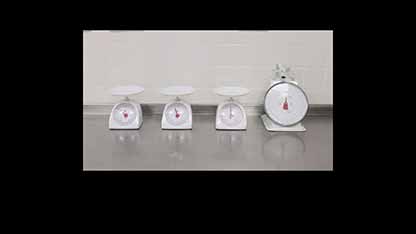 深入了解酒店餐饮