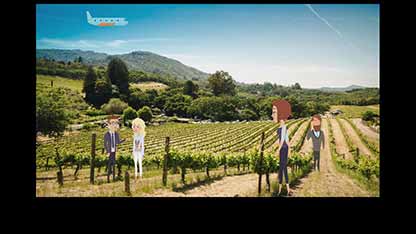 航空饮食业的饮料设计