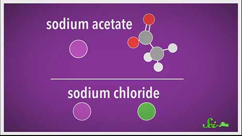 为什么没有盐的替代品