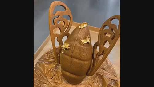 巧克力蛋糕装饰艺术