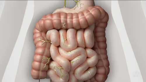 无麸质饮食正流行