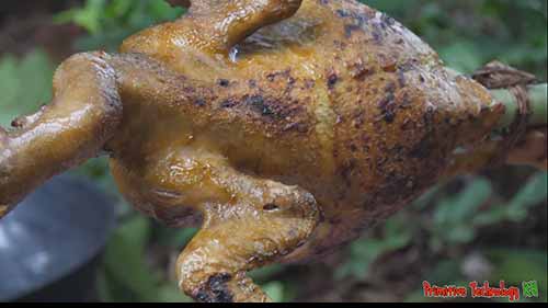 丛林烹饪：烤鸡