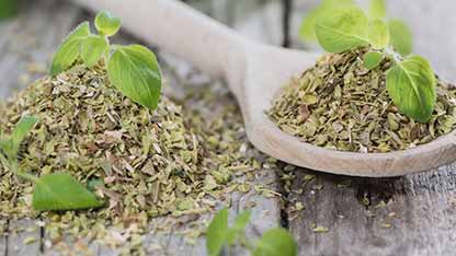 牛至对健康的影响