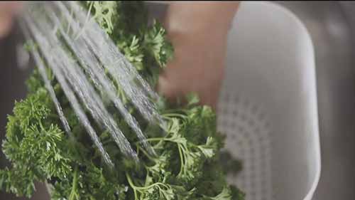 如何储存新鲜欧芹等香料