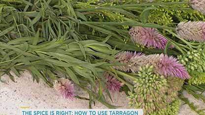 龙蒿在菜肴中的使用