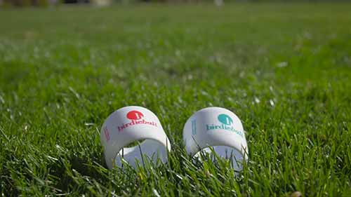 小玩意：小鸟球