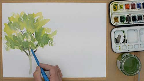 水彩画教程：树