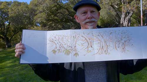 水彩风景写生：橡树林