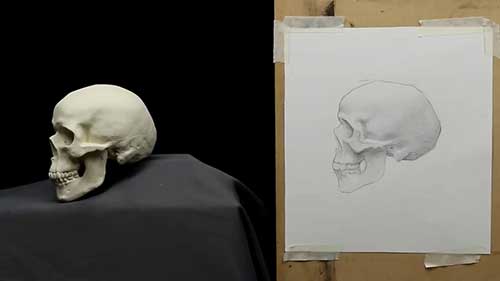 绘画的观察方法