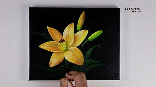 丙烯画花卉教程