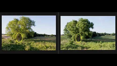 风景画的构图设计