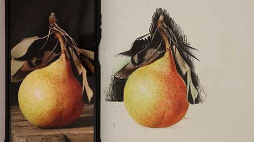 彩铅静物画教程：水果