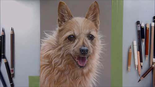 动物毛发的绘画技巧