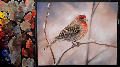 用油画颜料画家朱雀