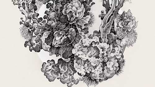 绘画的交叉排线法