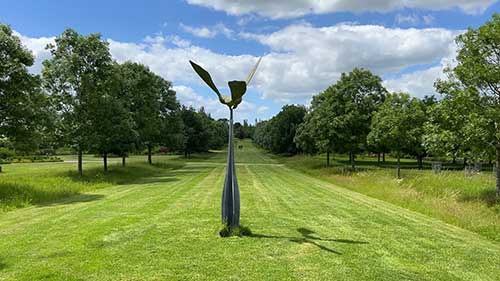 非凡的园艺景观装饰