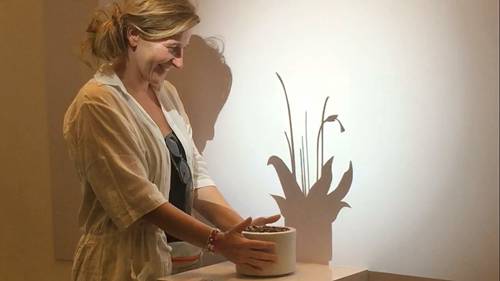 野生动植物互动展览