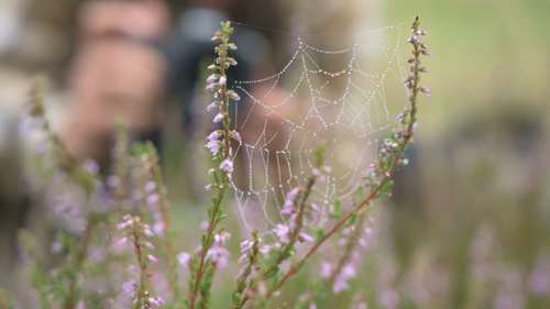 自然摄影的四天历程