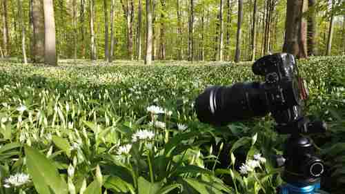 如何在风景摄影中对焦