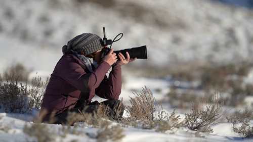 野生动物摄影构图与相机设置