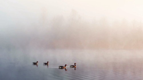 极简主义风景摄影