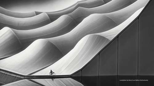 获奖黑白照片赏析