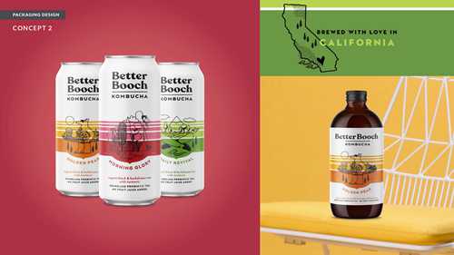 揭秘康普茶的包装设计过程