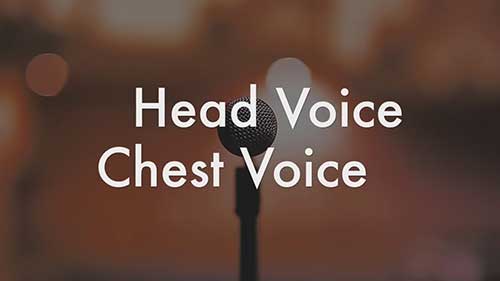胸声与头声