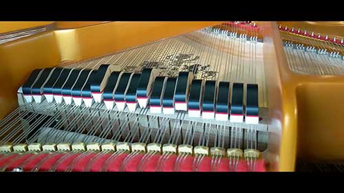 钢琴解剖课04踏板