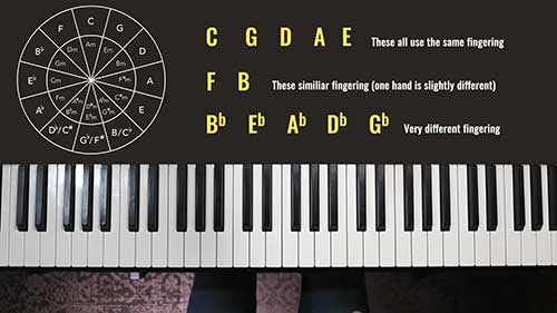 钢琴音阶学习顺序