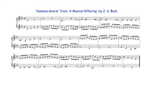 卡农教程：分类