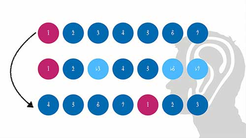 自然音转调01基本概念