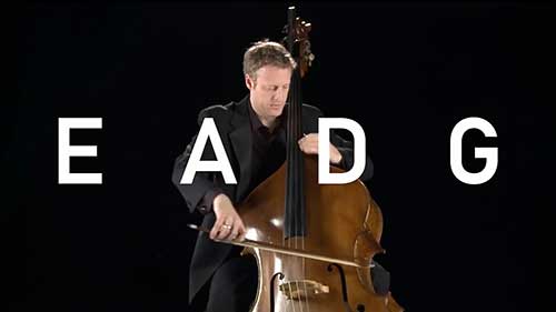 如何写弦乐四重奏