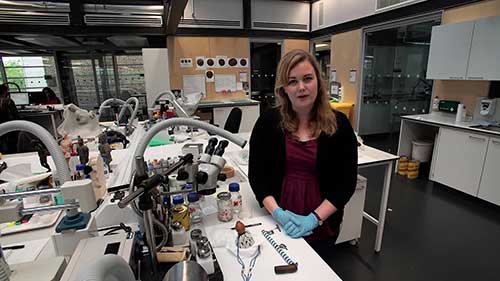 修复科萨烟斗和鼻烟壶