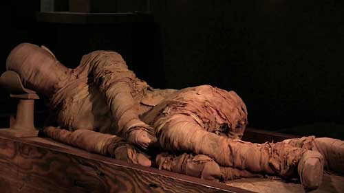 保护国王木乃伊