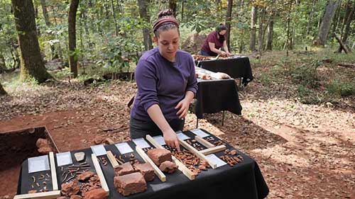 蒙蒂塞洛考古发现