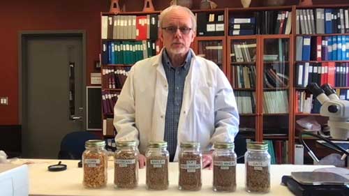 考古植物学概论和基本术语