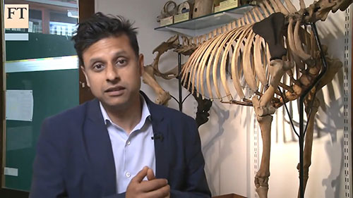 数字世界中的博物馆