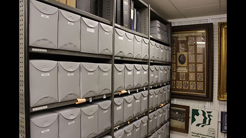 如何储存管理收藏品