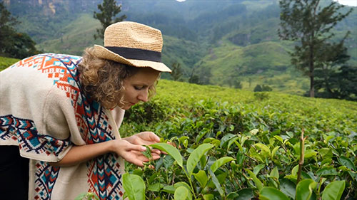 文化旅游的兴起