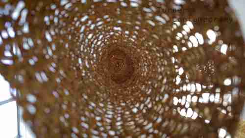 《Entangled》展览