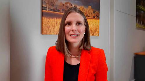 工作场所的职业形象