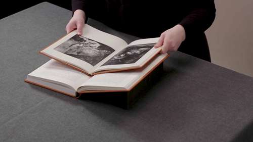 照顾与处理图书馆藏品